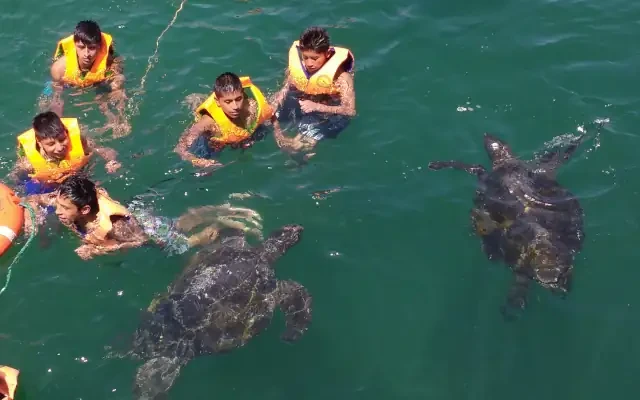 Tour escolares en El Ñuro